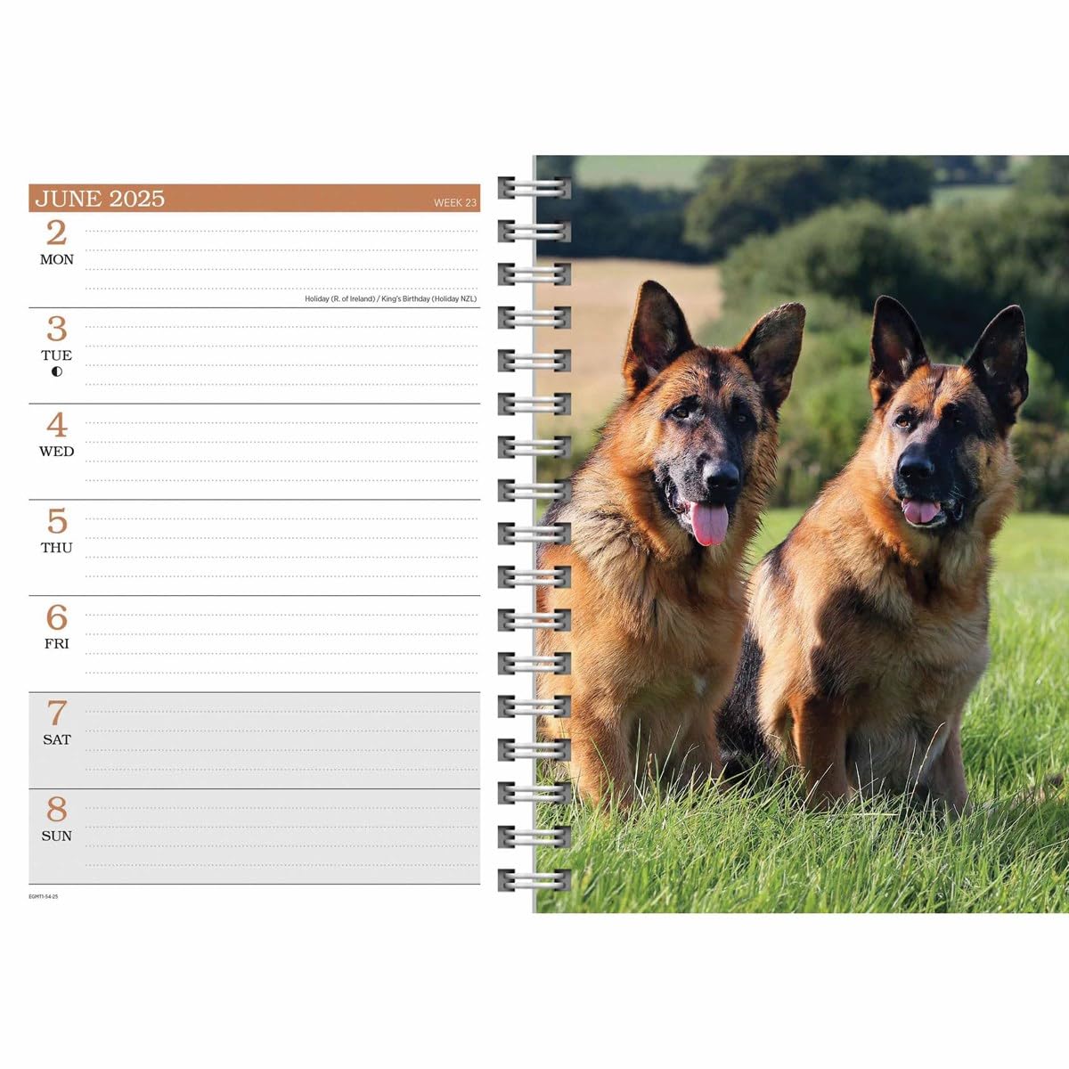 Carousel Calendars German Shepherds A5 Diary 2025 (PFP)