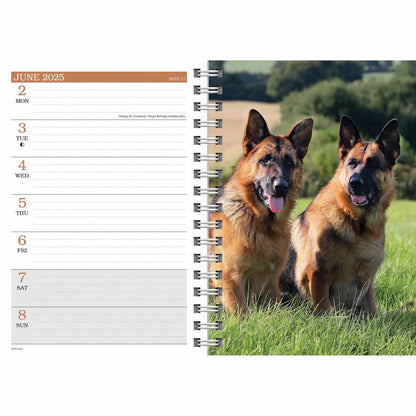 Carousel Calendars German Shepherds A5 Diary 2025 (PFP)