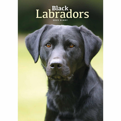 Carousel Calendars Labrador Retrievers Black A5 Diary 2025 (PFP)