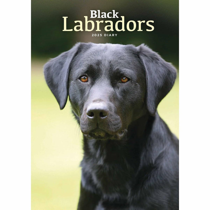 Carousel Calendars Labrador Retrievers Black A5 Diary 2025 (PFP)