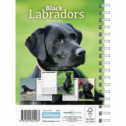 Carousel Calendars Labrador Retrievers Black A5 Diary 2025 (PFP)