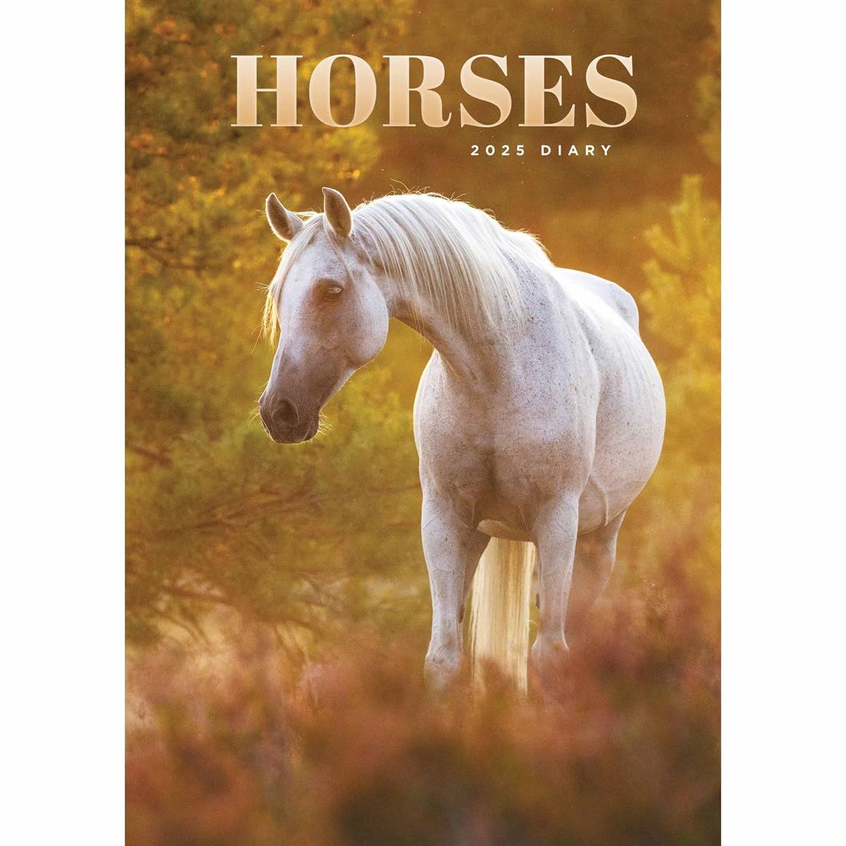 2025 Horses A5 Engagement Diary Wiro