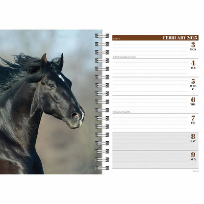 2025 Horses A5 Engagement Diary Wiro