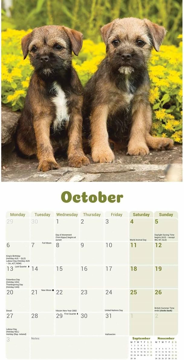 Border Terrier Puppies Mini Wall Calendar 2025 (PFP)