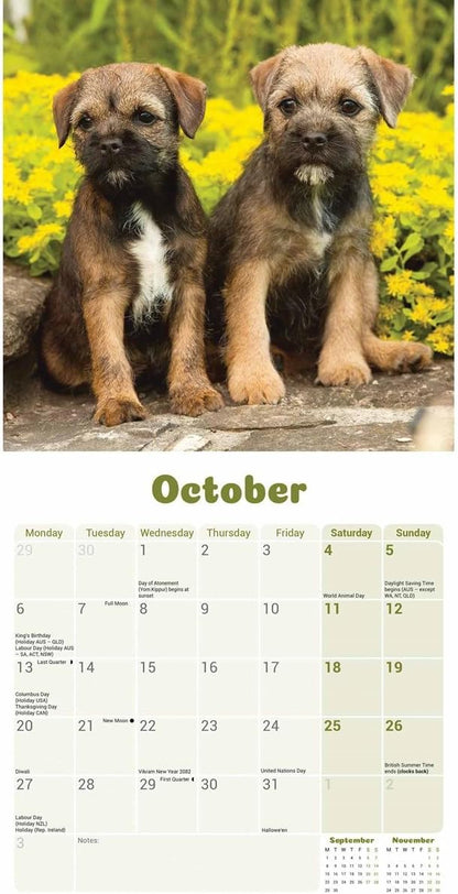 Border Terrier Puppies Mini Wall Calendar 2025 (PFP)