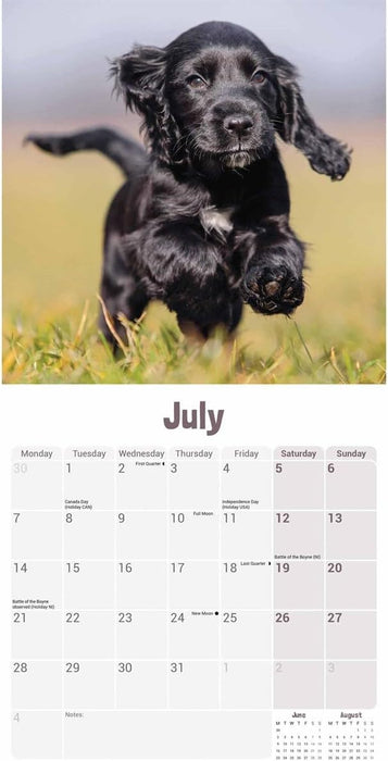English Cocker Spaniel Puppies Mini Wall Calendar 2025 (PFP)