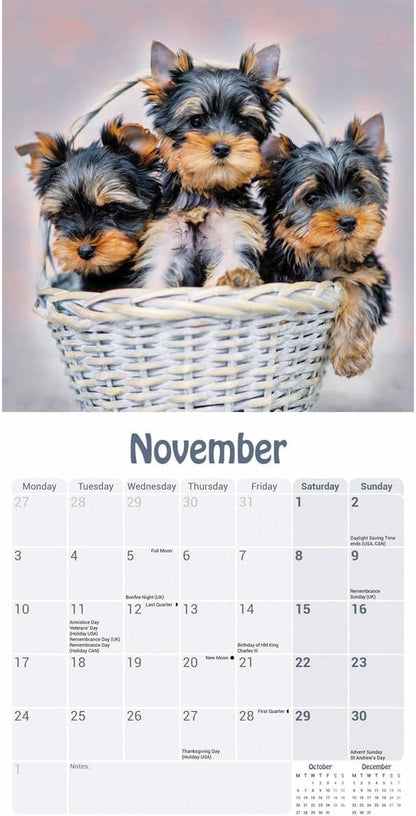 Yorkshire Terrier Puppies Mini Wall Calendar 2025 (PFP)