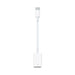 Apple - Usb Adapter - 24 Pin Usb-C (M) To Usb Type A (F) - Thunderbolt 3