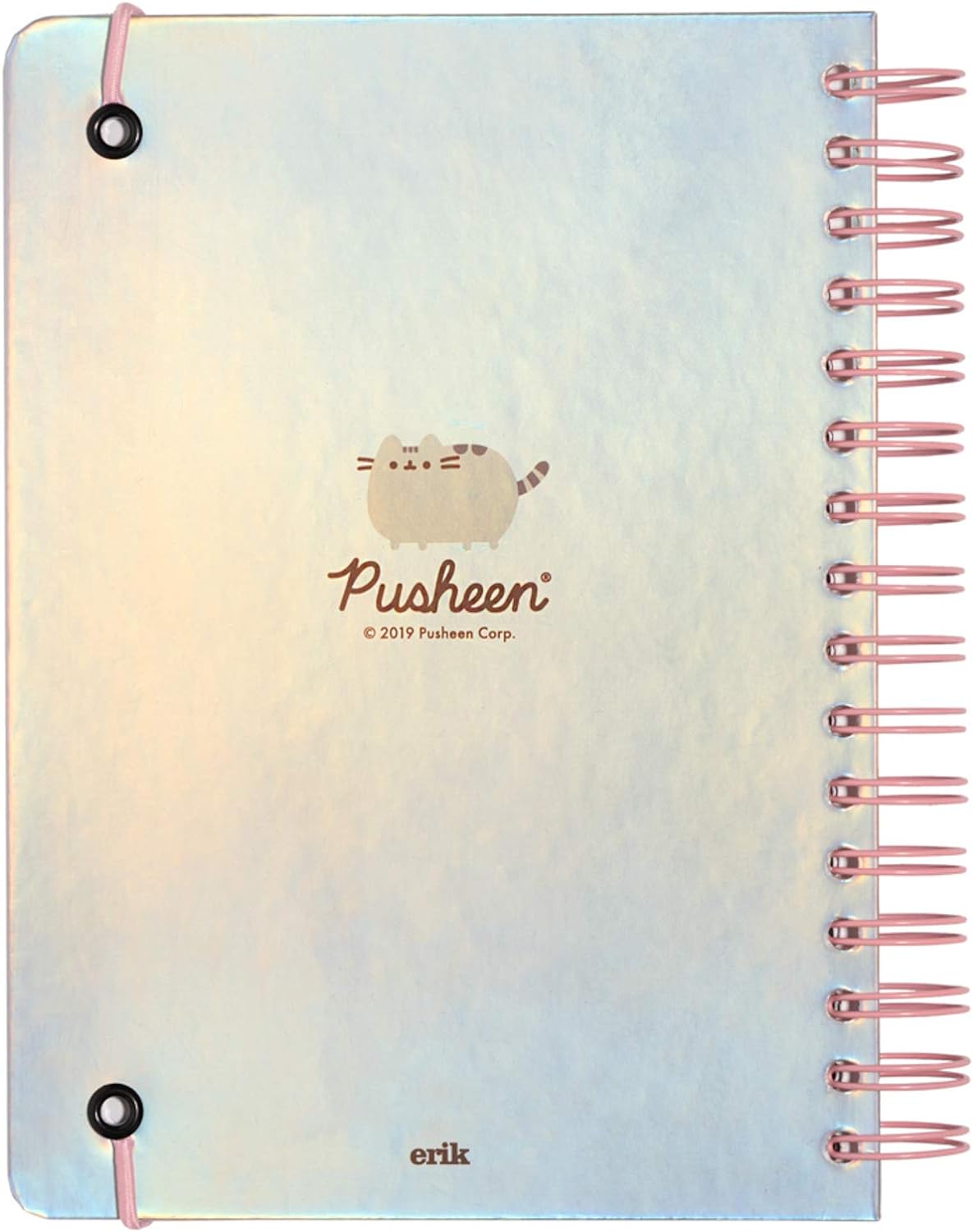 Grupo Erik Bullet Journal Dotted A5 Pusheen Foodie - Hard Cover Notizblock A5 Ringbuch Notizbuch A5 Dotted mit Hologramm Cover Tagebuch Türkis