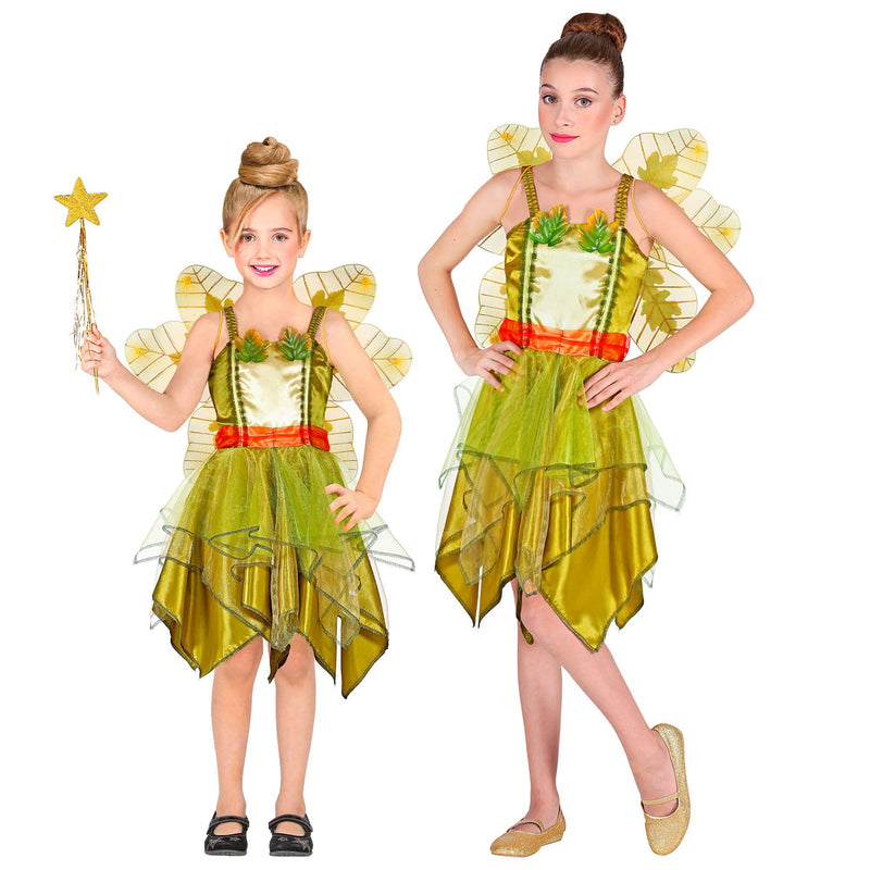 Widmann Girl's Fatina Dei Boschi Costume (104 cm / 2-3 Years) Multi-coloured
