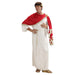 Mens Marcus Aurelius Costume Medium UK 40/42" for Toga Party Rome Sparticus Fancy Dress