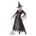 Ladies Spiderweb Witch Costume Double Extra Large UK 20+ for Halloween Fancy Dress XXL