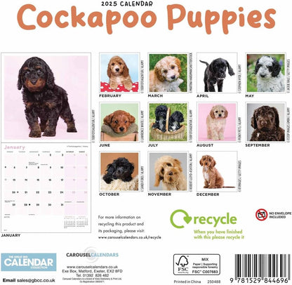 Cockapoo Puppies Mini Wall Calendar 2025 (PFP)