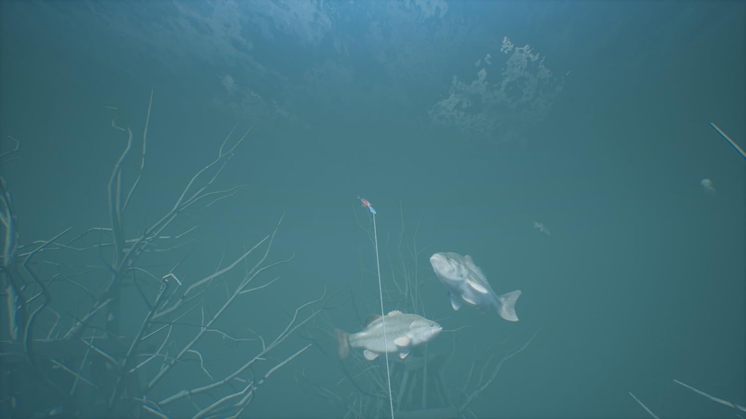 Bassmaster - Fishing Deluxe PS4