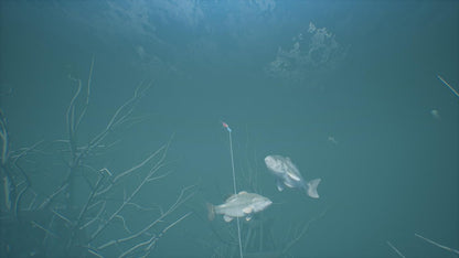 Bassmaster - Fishing Deluxe PS5