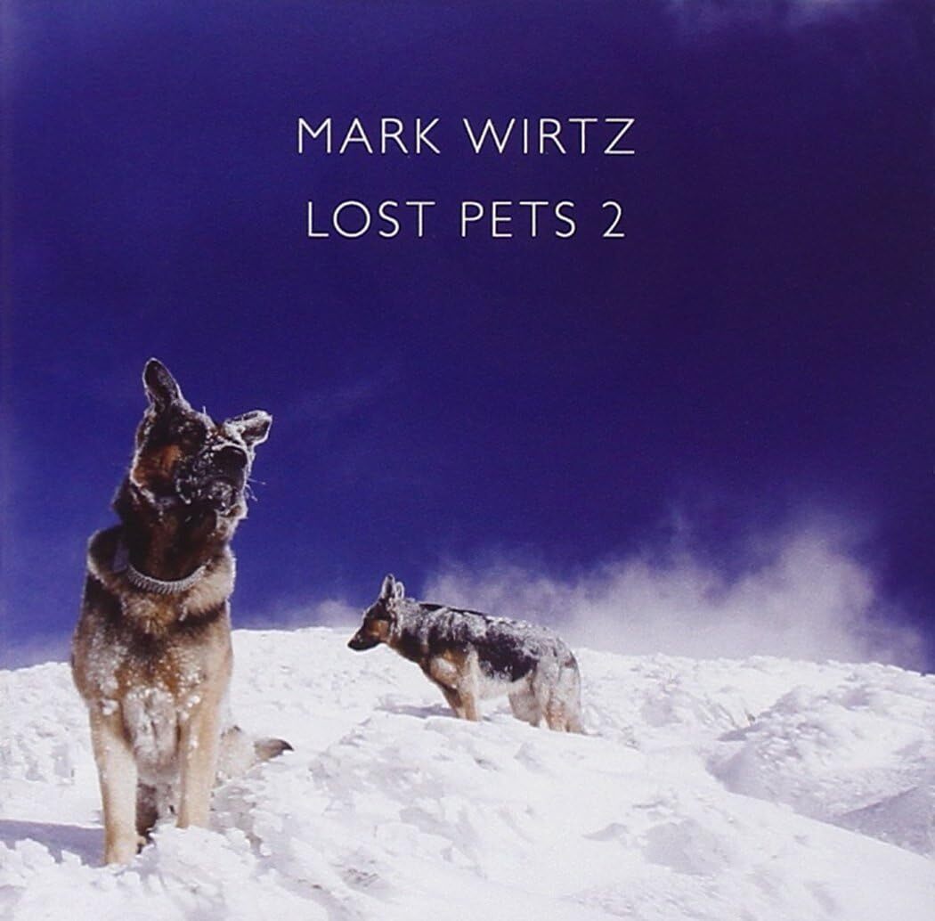 Lost Pets 2
