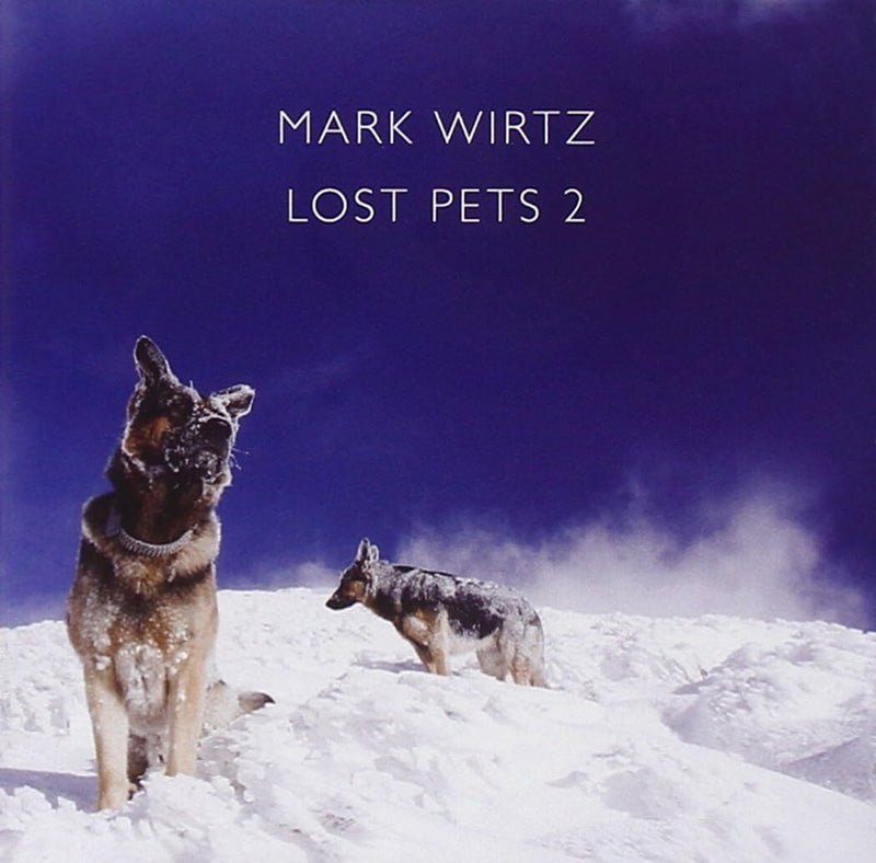 Lost Pets 2