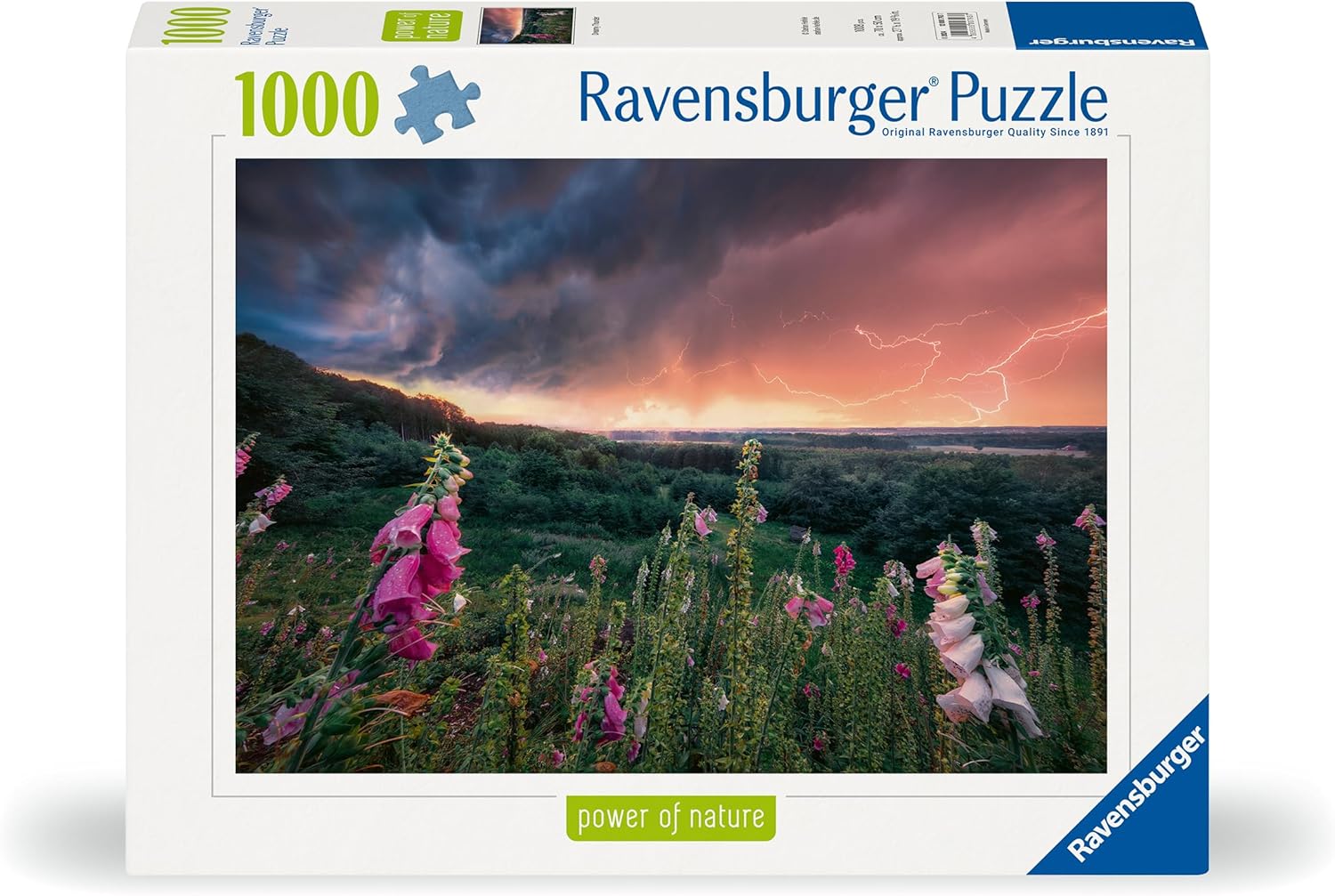 Ravensburger Puzzle 12000793 - Ein Sturm zieht auf - 1000 Teile Puzzle für Erwachsene ab 14 Jahren