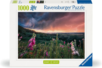 Ravensburger Puzzle 12000793 - Ein Sturm zieht auf - 1000 Teile Puzzle für Erwachsene ab 14 Jahren