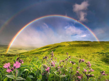 Ravensburger - Puzzle Rainbowscape 1500P (12000800)