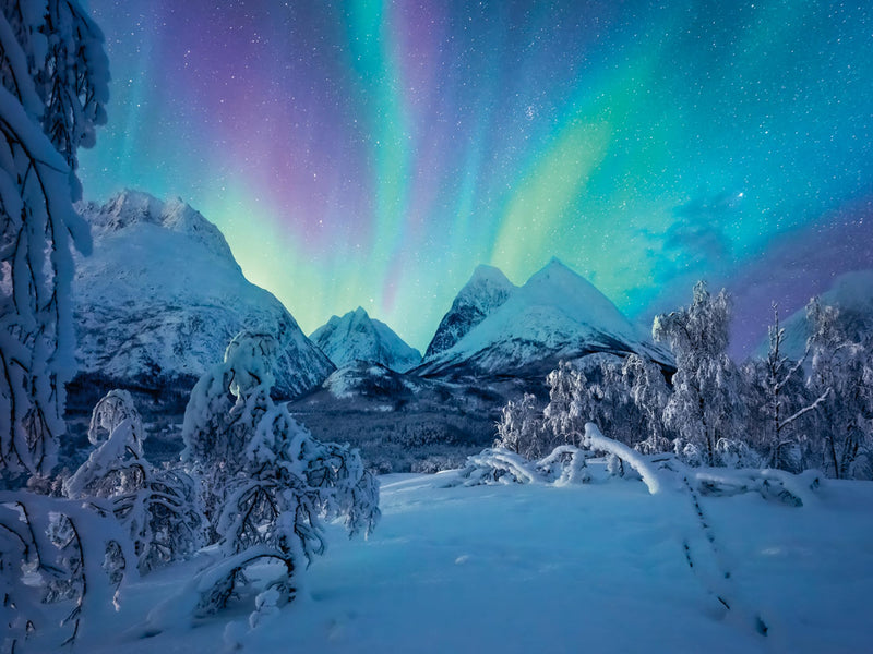 Ravensburger Puzzle 12000802 - Wenn die Nordlichter tanzen - 1500 Teile Puzzle für Erwachsene und Kinder ab 14 Jahren, Puzzle mit Landschaft und Natur