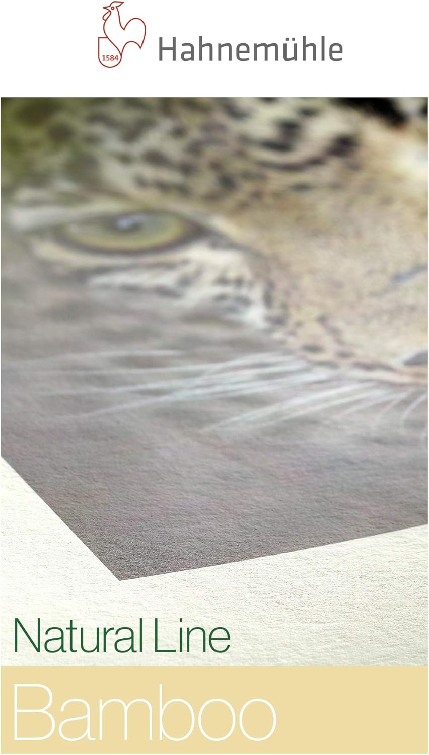 Hahnemühle 10641610 Digital FineArt Bamboo, 290 g/m², DIN A3, 297 x 420 mm, Natural White