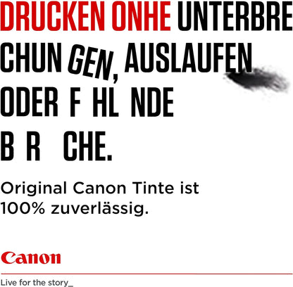 Canon PGI-550 XL TWIN Pack of 2 cartridges (2x Black XL) Genuine (Recycled Cardboard Multipack)