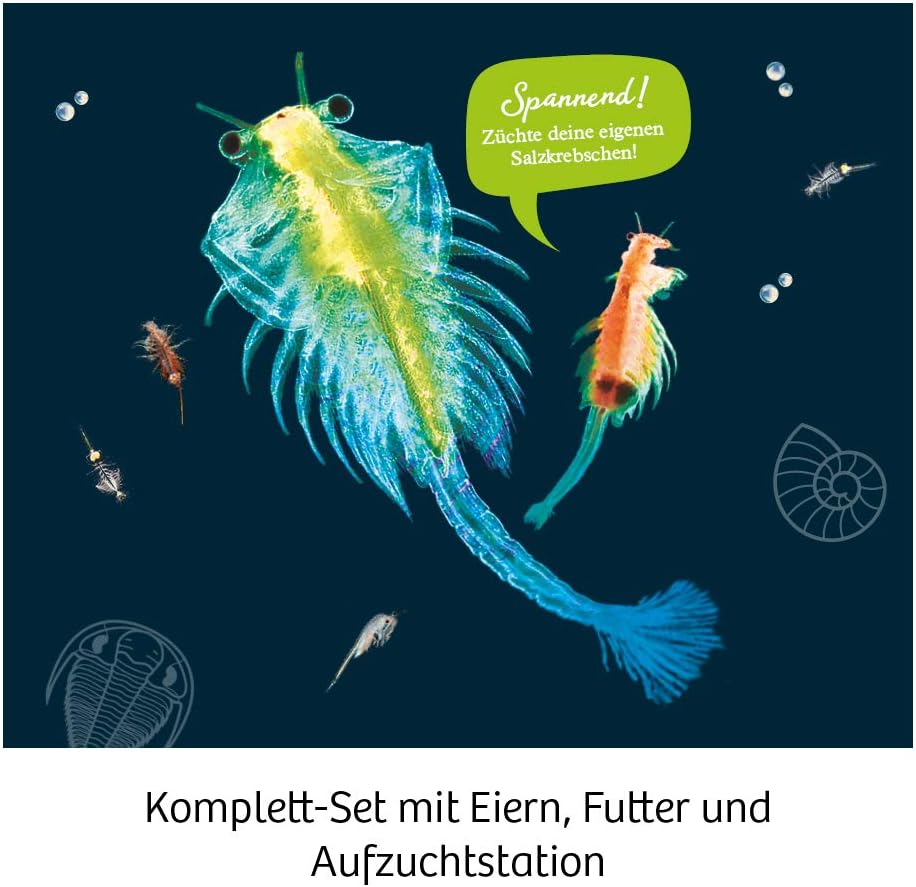 Kosmos 616779 Sea Dogs - Breed Prehistoric Crabs Yourself Dinosaurier Experiment Set for Children with multilingual Instructions (DE, EN, FR, IT, ES, NL), Multi-Coloured, 21 x 13 x 5.5 cm