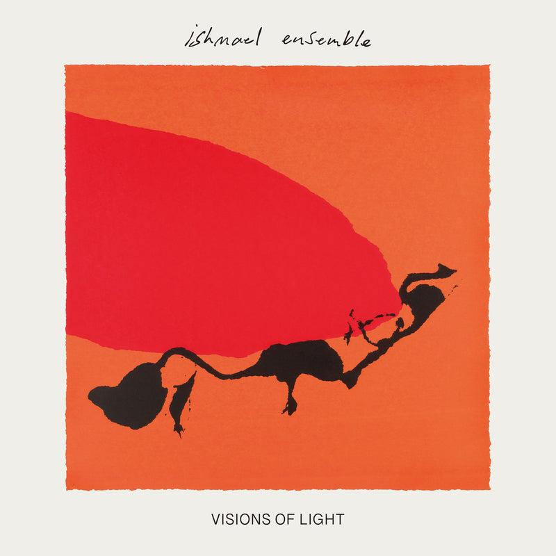 Visions of Light