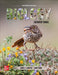 Biology Laboratory Manual