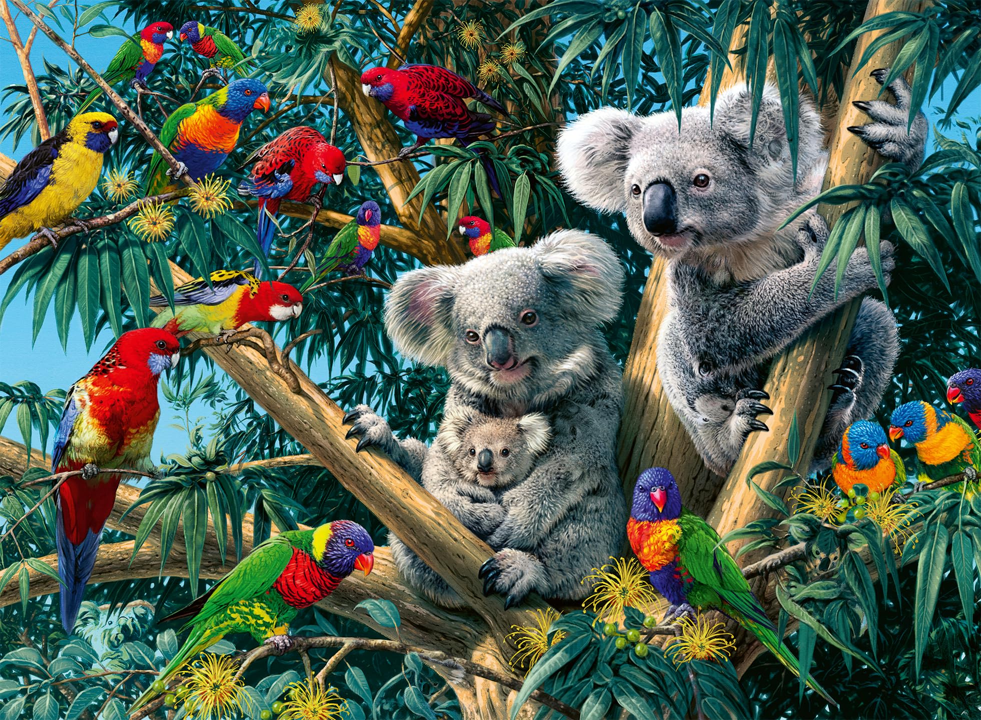 Ravensburger Puzzle 12000206 - Koalas im Baum - 500 Teile Puzzle für Erwachsene und Kinder ab 12 Jahren, Tier-Puzzle