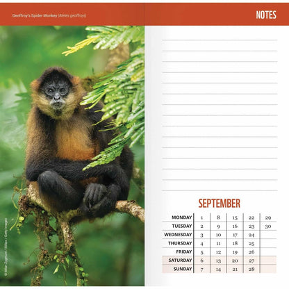 2025 Wwf Wild & Free Slim Diary