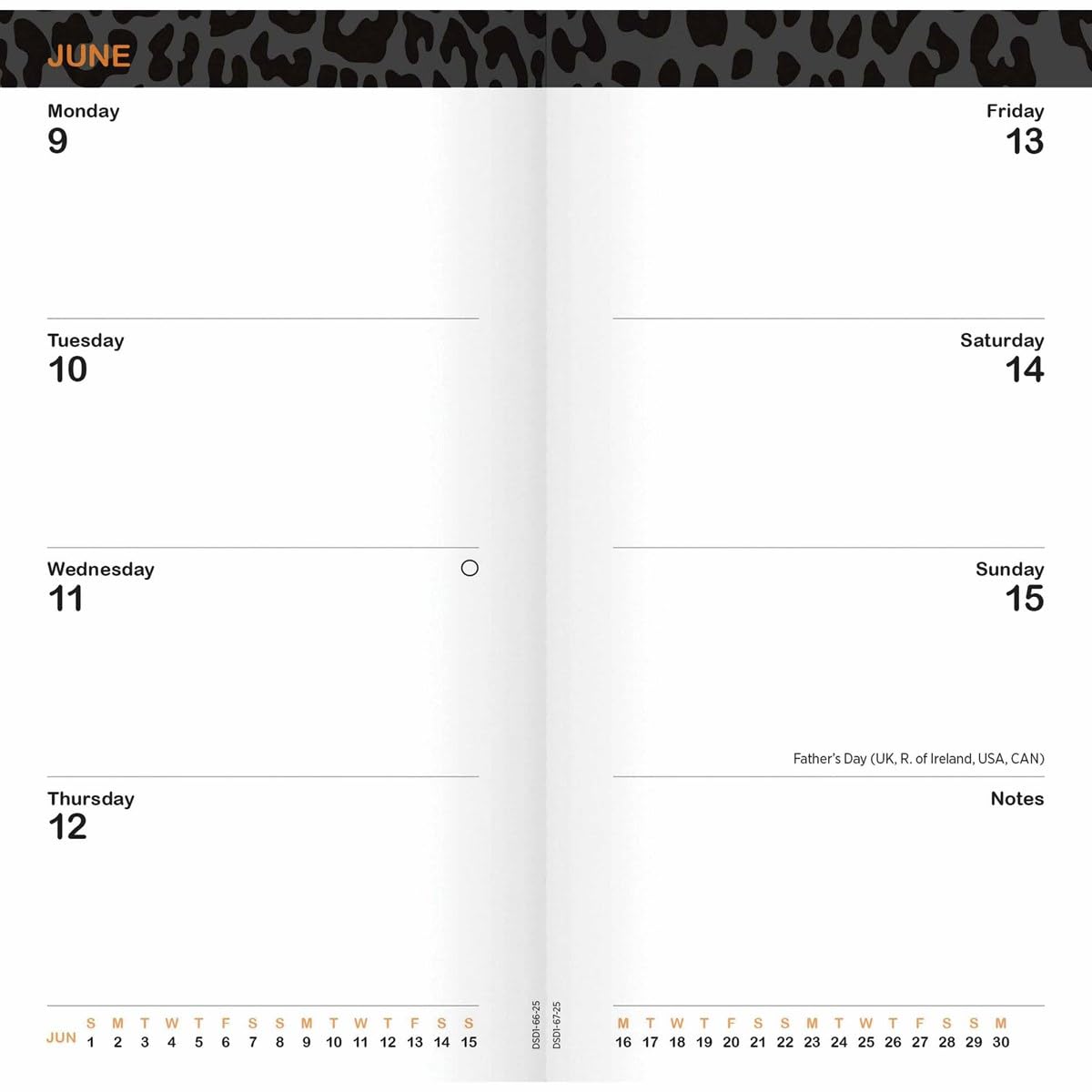 Carousel Calendars Beryl Cook Slim Diary 2025 (PFP)