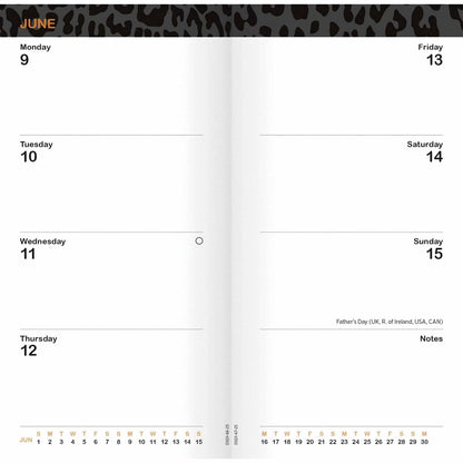 Carousel Calendars Beryl Cook Slim Diary 2025 (PFP)