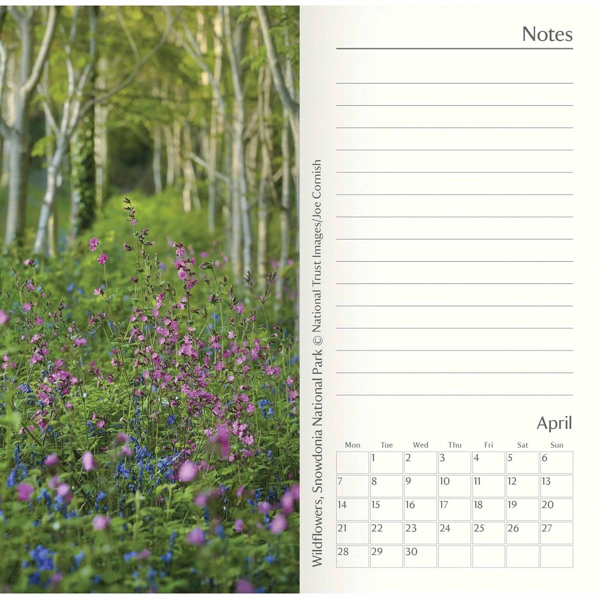 Carousel Calendars National Trust Slim Diary 2025 (PFP)