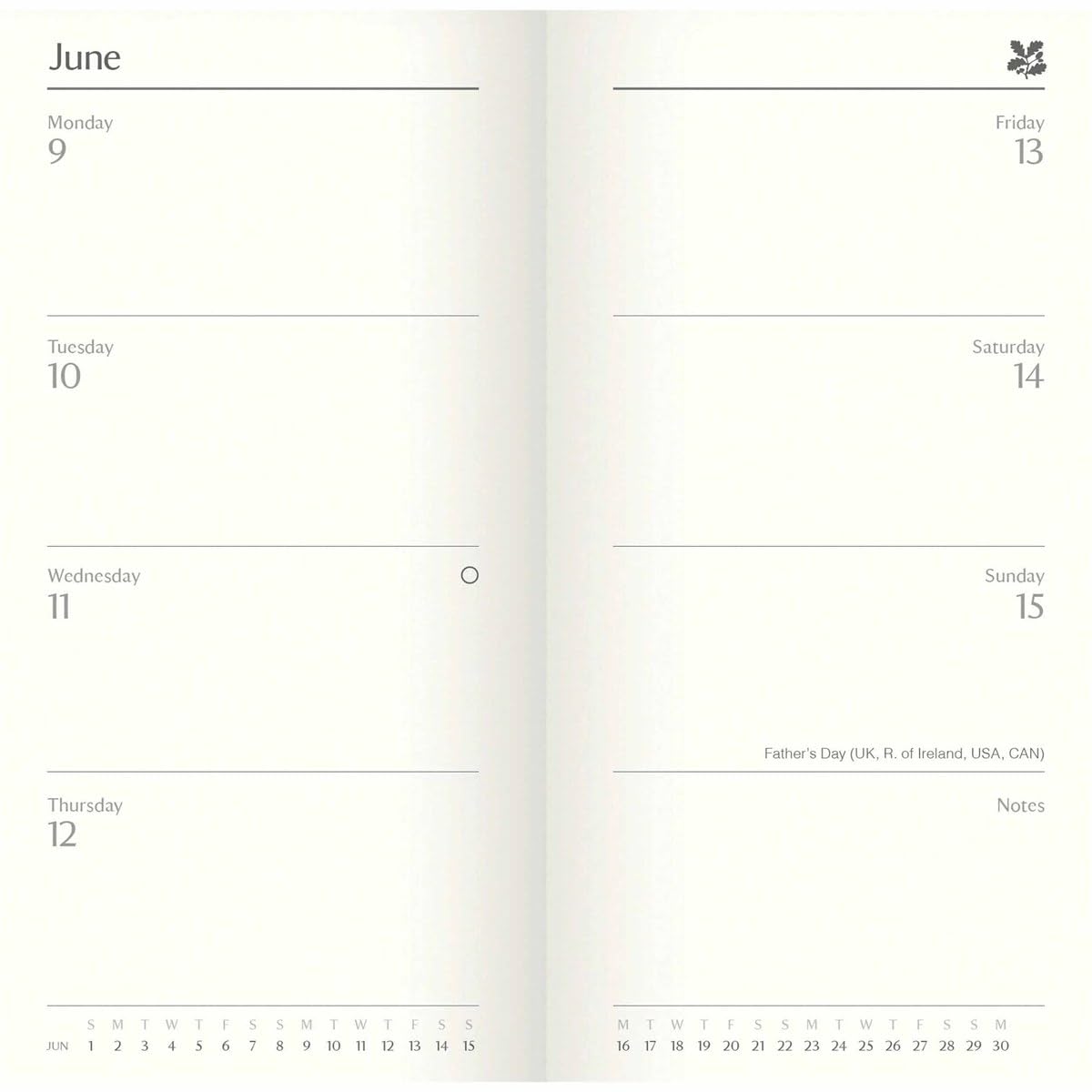 Carousel Calendars National Trust Slim Diary 2025 (PFP)