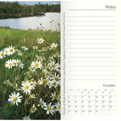 Carousel Calendars National Trust Slim Diary 2025 (PFP)