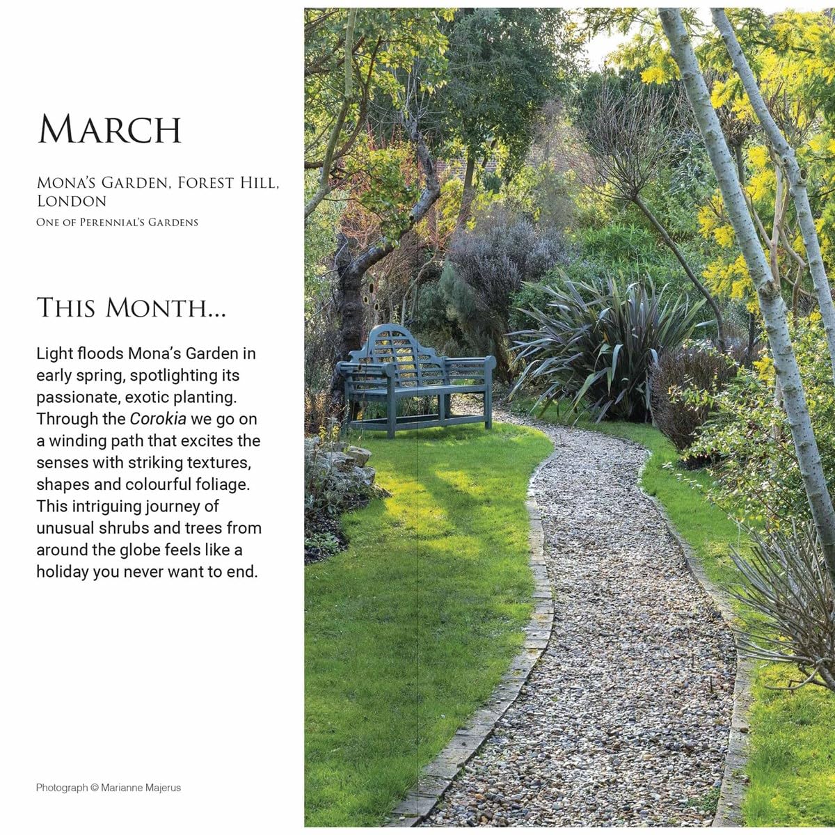 Carousel Calendars Beautiful Gardens Alan Titchmarsh Slim Diary 2025 (PFP)