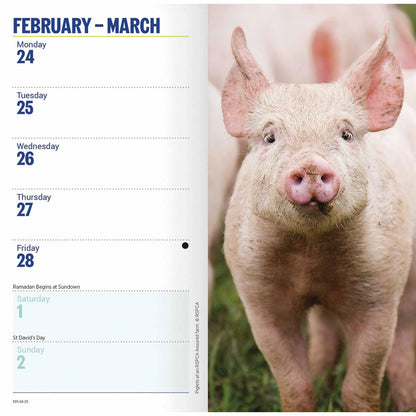Carousel Calendars RSPCA Slim Diary 2025 (PFP)