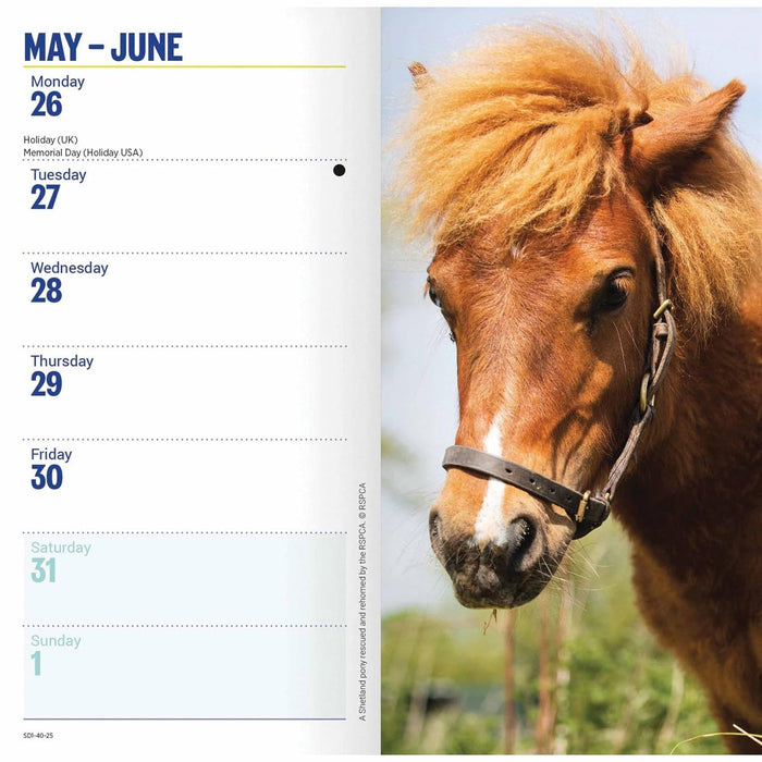 Carousel Calendars RSPCA Slim Diary 2025 (PFP)