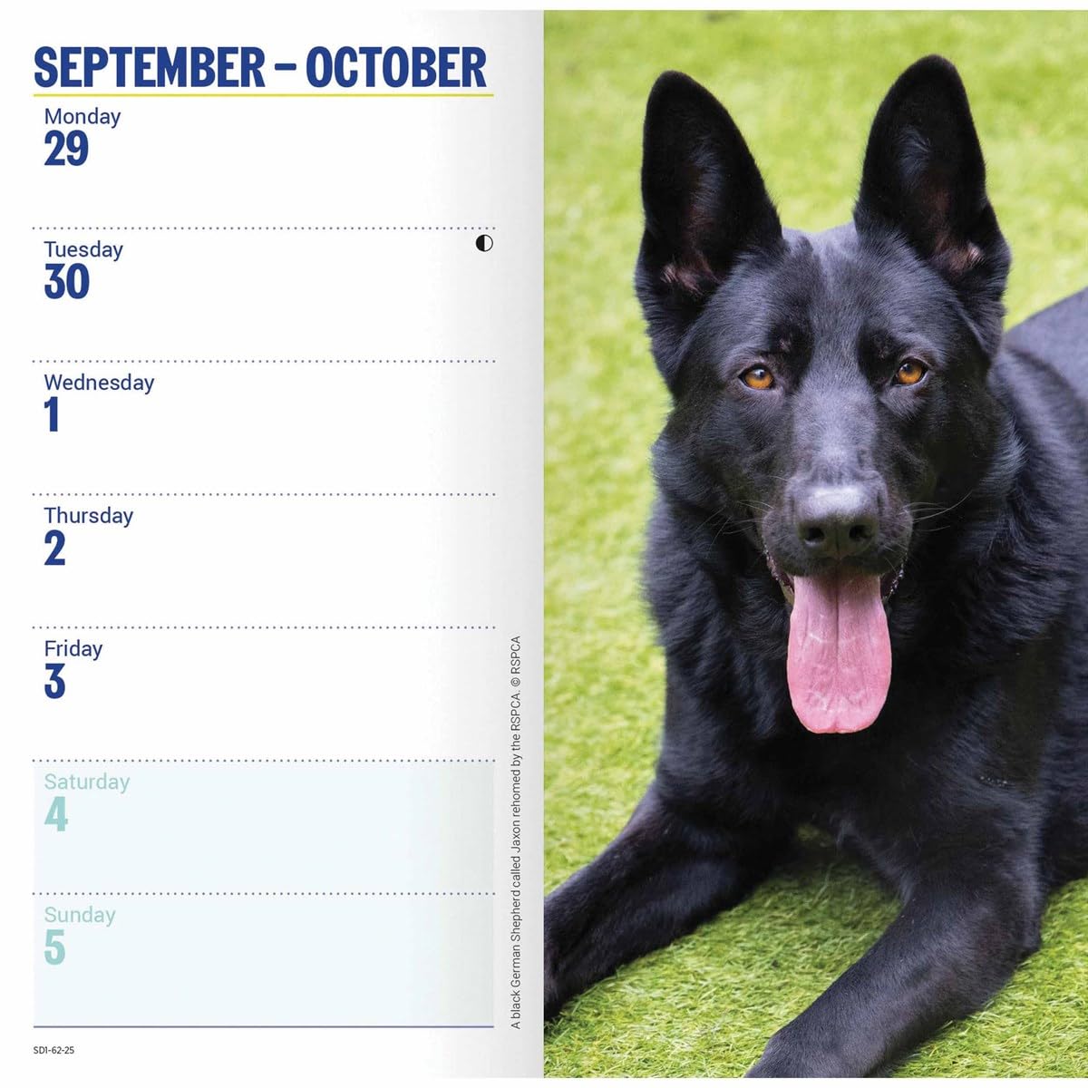 Carousel Calendars RSPCA Slim Diary 2025 (PFP)