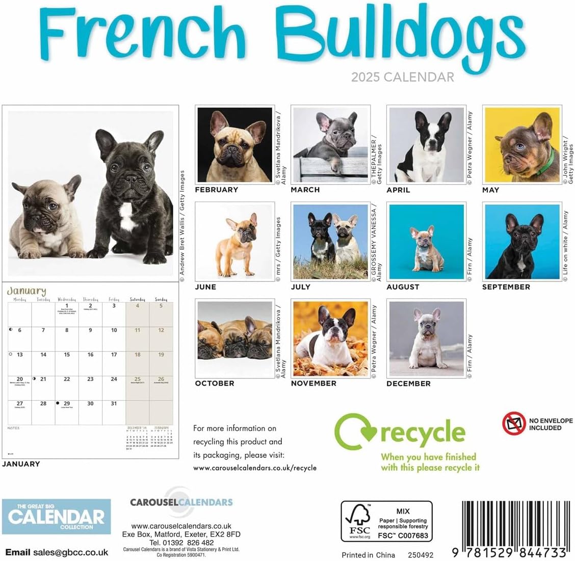 French Bulldogs Mini Wall Calendar 2025 (PFP)