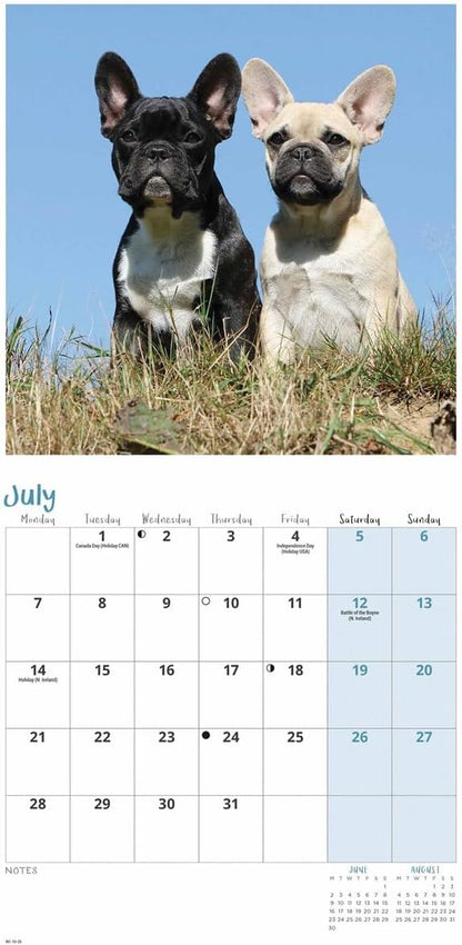 French Bulldogs Mini Wall Calendar 2025 (PFP)