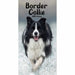 Carousel Calendars Border Collies Slim Diary 2025 (PFP)