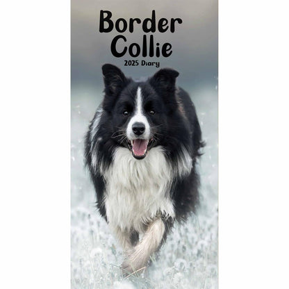 Carousel Calendars Border Collies Slim Diary 2025 (PFP)