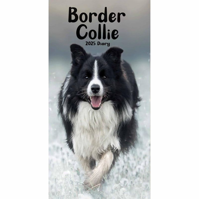 Carousel Calendars Border Collies Slim Diary 2025 (PFP)