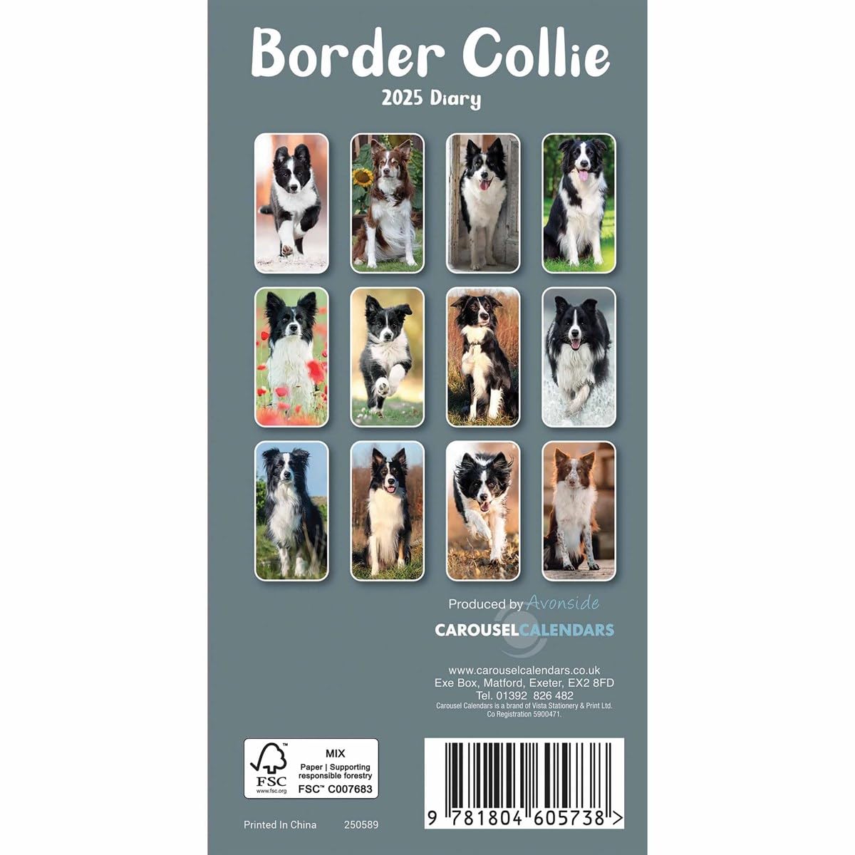 Carousel Calendars Border Collies Slim Diary 2025 (PFP)