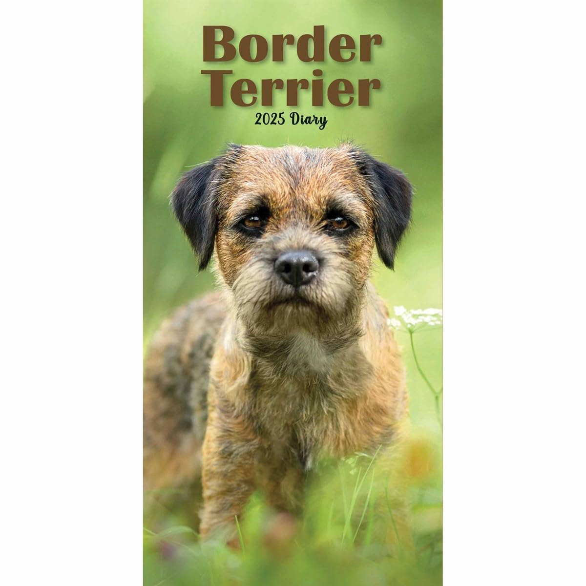 Carousel Calendars Border Terriers Slim Diary 2025 (PFP)