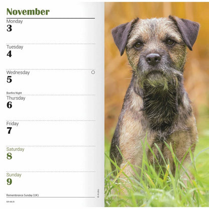 Carousel Calendars Border Terriers Slim Diary 2025 (PFP)