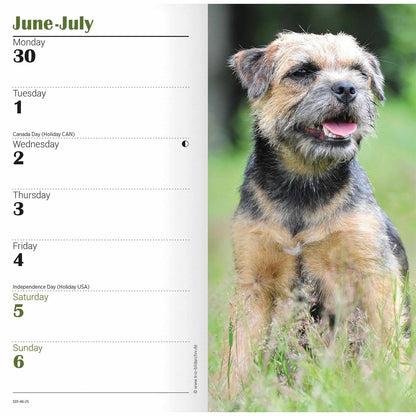 Carousel Calendars Border Terriers Slim Diary 2025 (PFP)